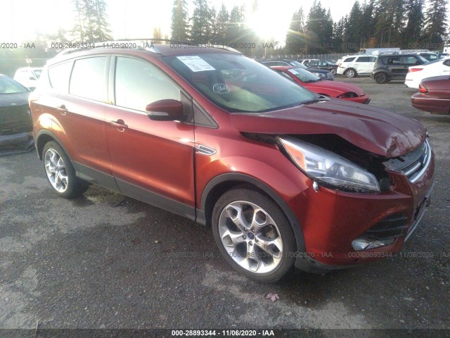 FORD ESCAPE 2014 1fmcu9j92eud25442