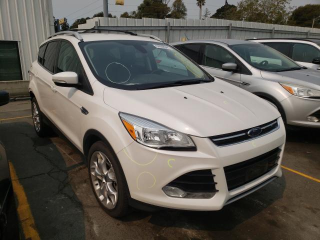 FORD ESCAPE TIT 2014 1fmcu9j93eua71238