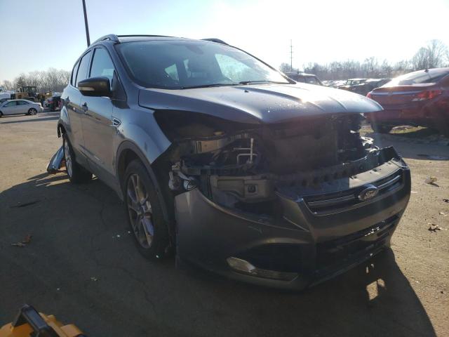 FORD NULL 2014 1fmcu9j93euc50346