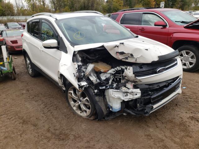 FORD ESCAPE TIT 2014 1fmcu9j93euc51447