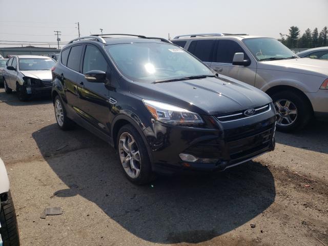 FORD ESCAPE TIT 2014 1fmcu9j93euc82911