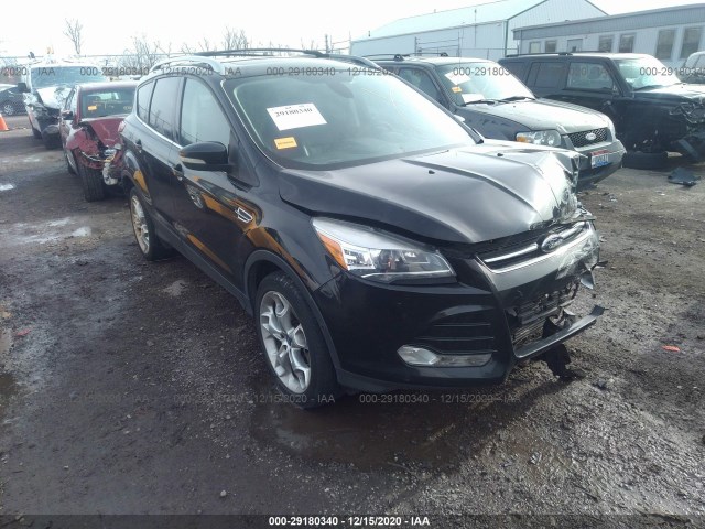 FORD ESCAPE 2013 1fmcu9j94duc10727