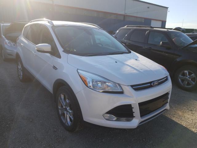 FORD ESCAPE TIT 2014 1fmcu9j94eua55887