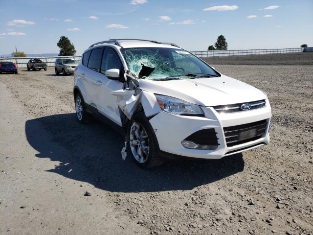 FORD ESCAPE TIT 2014 1fmcu9j95eua22171