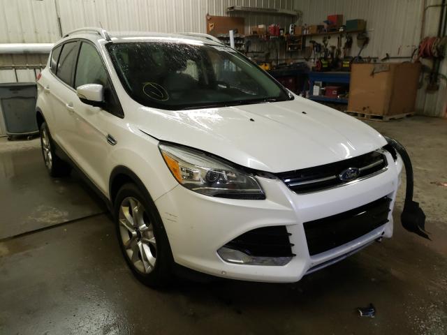 FORD ESCAPE TIT 2014 1fmcu9j95eub98895