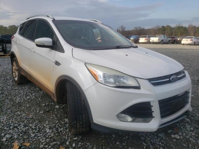 FORD ESCAPE TIT 2014 1fmcu9j96eua07257