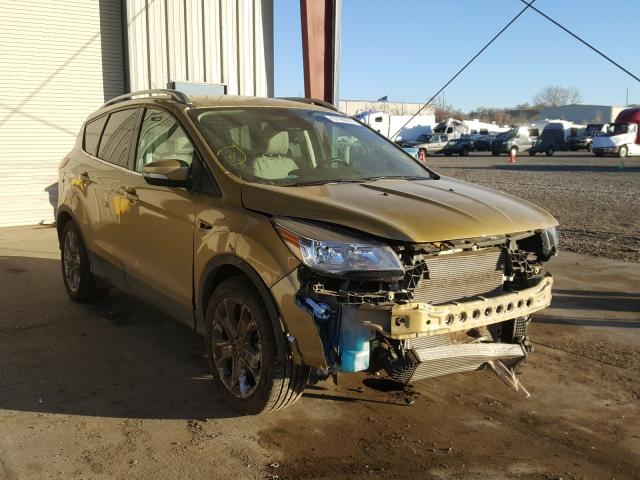 FORD NULL 2014 1fmcu9j96eud08935