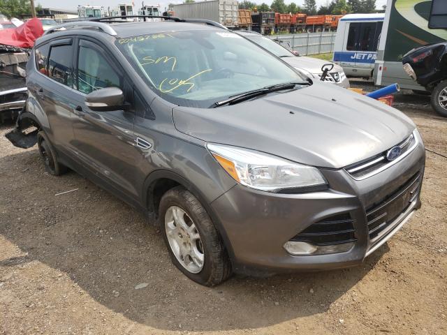 FORD ESCAPE TIT 2014 1fmcu9j96eud58119