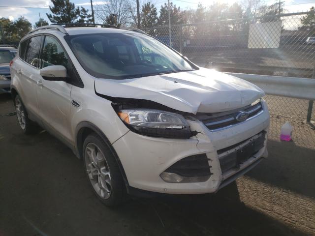 FORD ESCAPE TIT 2014 1fmcu9j97eua22026