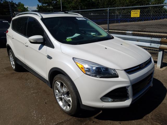 FORD ESCAPE TIT 2014 1fmcu9j97eua38484