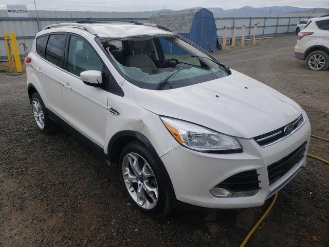 FORD ESCAPE TIT 2014 1fmcu9j97euc08830