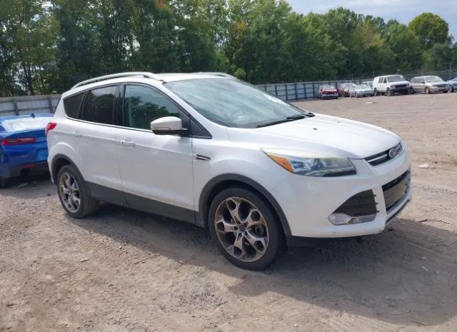 FORD ESCAPE 2014 1fmcu9j98eua58050