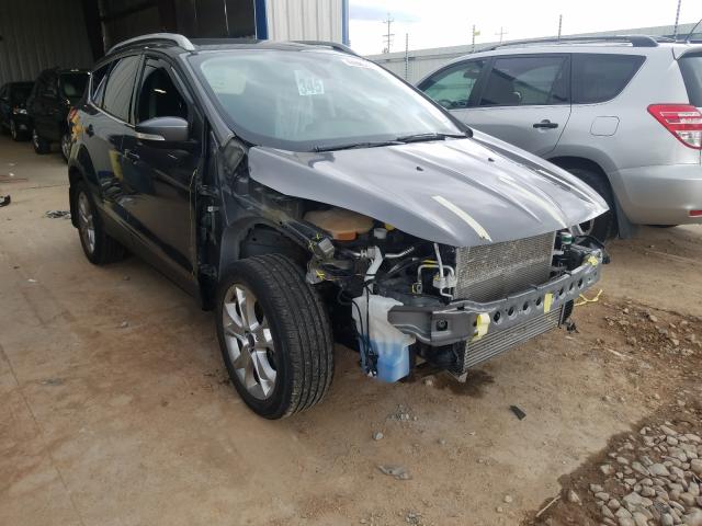 FORD ESCAPE TIT 2014 1fmcu9j98eua92070