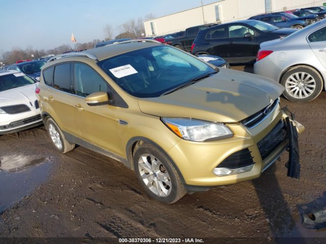 FORD ESCAPE 2014 1fmcu9j98euc19870