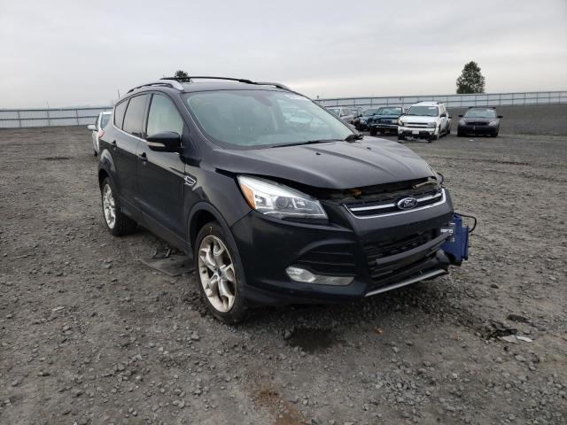 FORD NULL 2013 1fmcu9j99dub01261