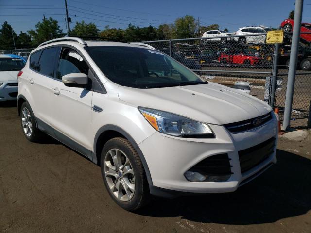 FORD ESCAPE TIT 2014 1fmcu9j99eua15935