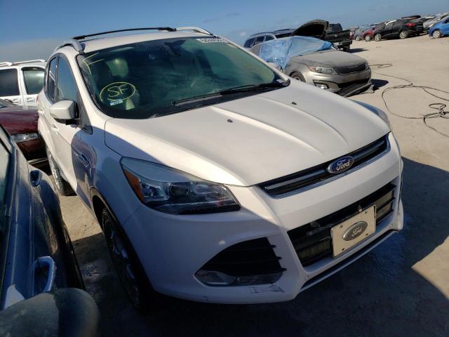 FORD ESCAPE TIT 2014 1fmcu9j99eub57024