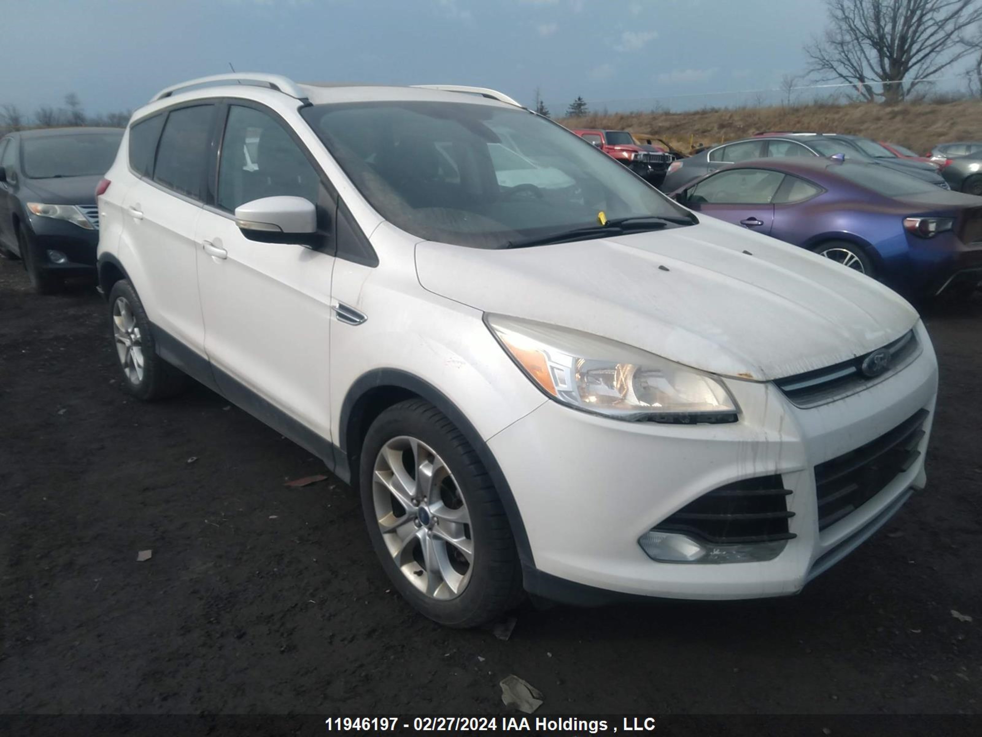 FORD ESCAPE 2014 1fmcu9j99eub88578