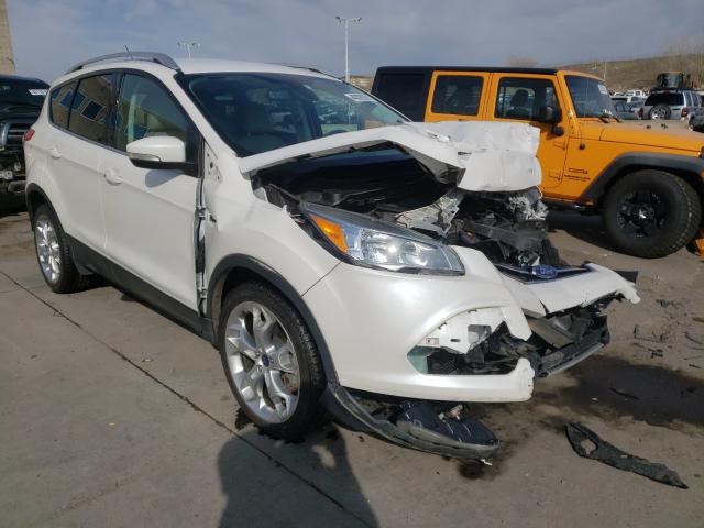 FORD ESCAPE TIT 2014 1fmcu9j99euc63893