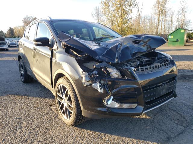 FORD ESCAPE TIT 2014 1fmcu9j99euc66938