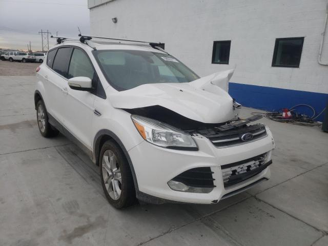 FORD ESCAPE TIT 2014 1fmcu9j99euc86428