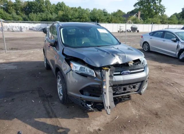 FORD ESCAPE 2014 1fmcu9j99euc99776