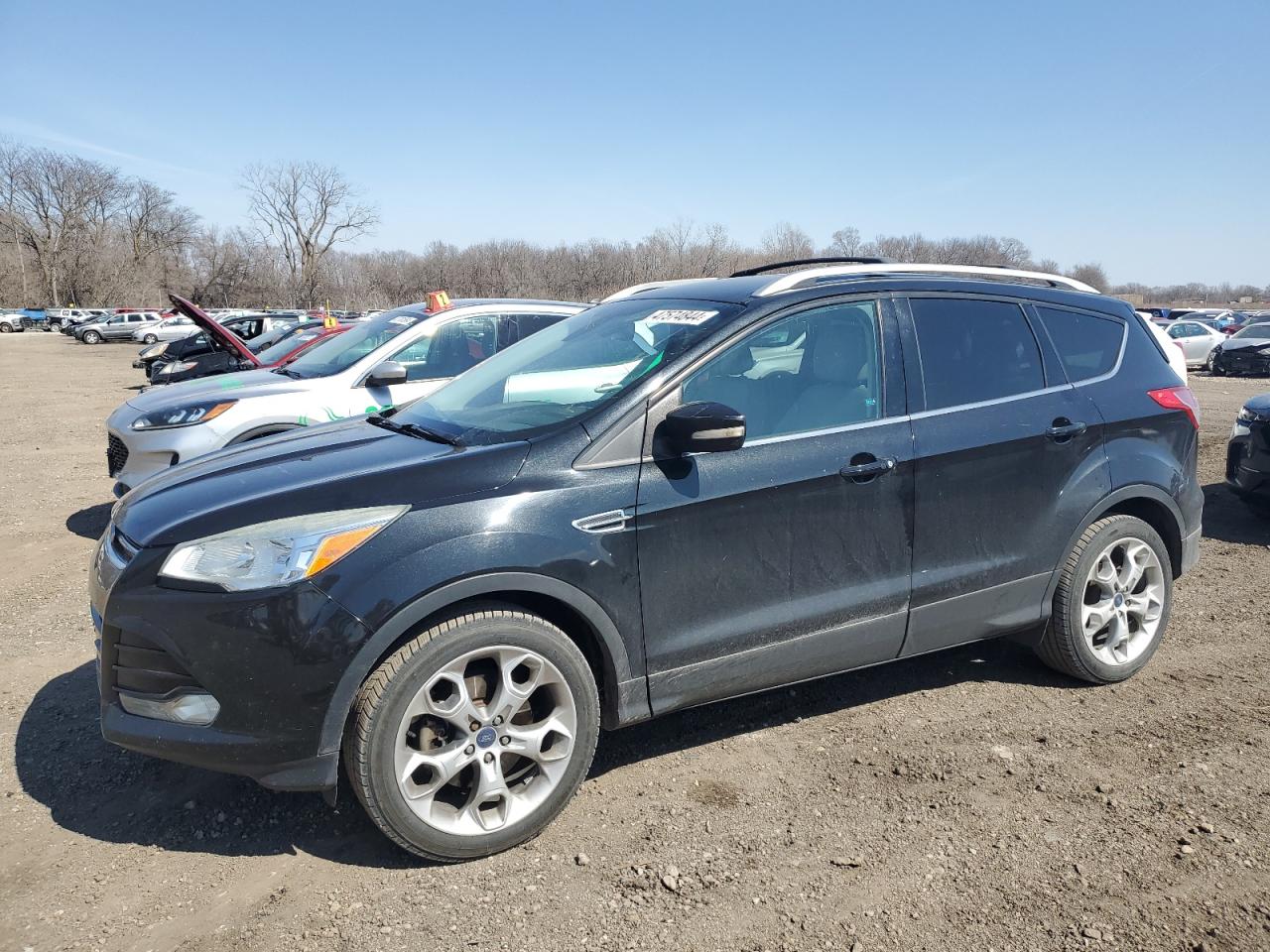 FORD ESCAPE 2014 1fmcu9j99eud87243