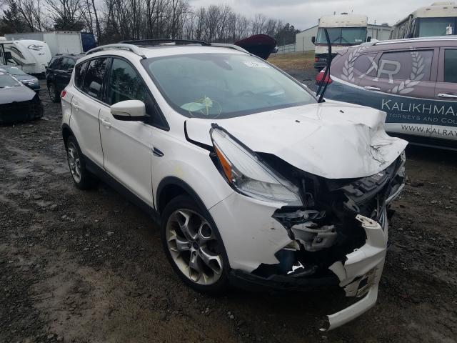 FORD ESCAPE TIT 2014 1fmcu9j9xeuc04335