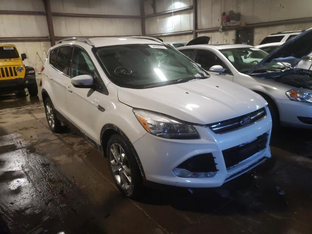 FORD ESCAPE TIT 2014 1fmcu9jx0eua03445