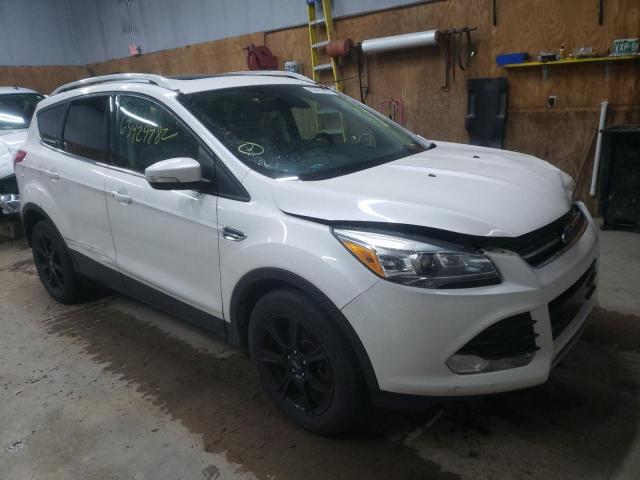 FORD ESCAPE TIT 2014 1fmcu9jx0eua99948