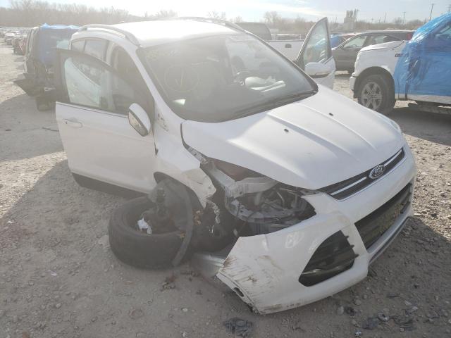 FORD ESCAPE TIT 2014 1fmcu9jx1eub98052