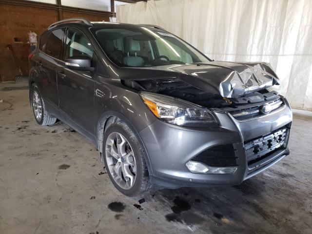 FORD ESCAPE TIT 2014 1fmcu9jx2eua28170