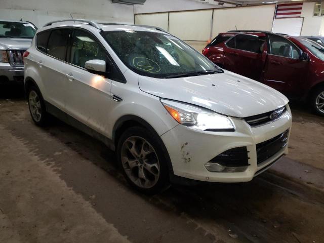 FORD ESCAPE TIT 2014 1fmcu9jx4eud23934