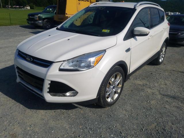 FORD ESCAPE TIT 2014 1fmcu9jx5eud40869