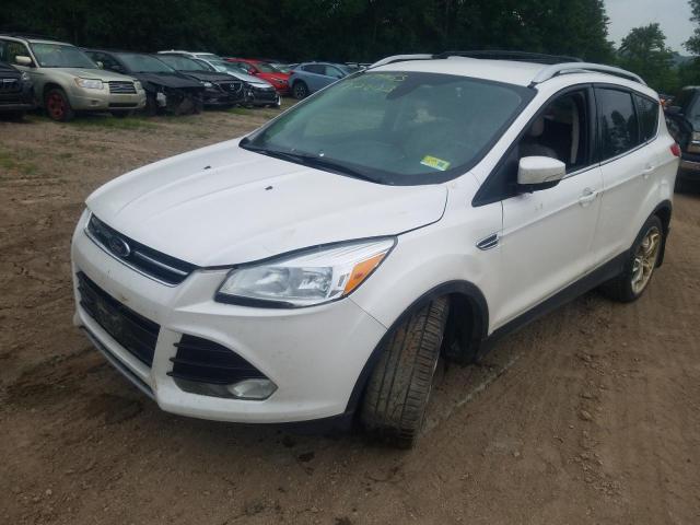 FORD ESCAPE TIT 2014 1fmcu9jx6eub74913