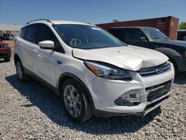 FORD ESCAPE TIT 2014 1fmcu9jx7eua92916