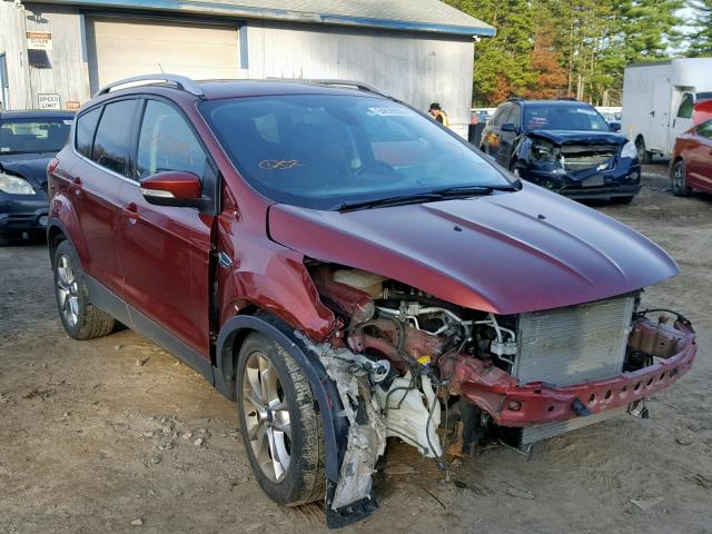 FORD ESCAPE TIT 2014 1fmcu9jx8eud69489