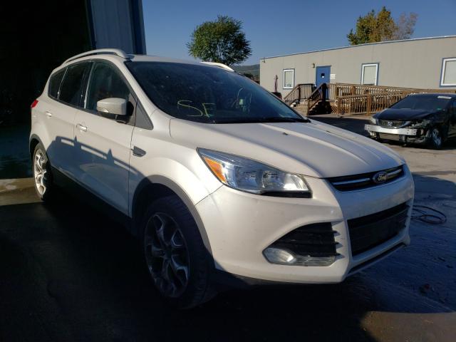 FORD ESCAPE TIT 2014 1fmcu9jx9euc40984