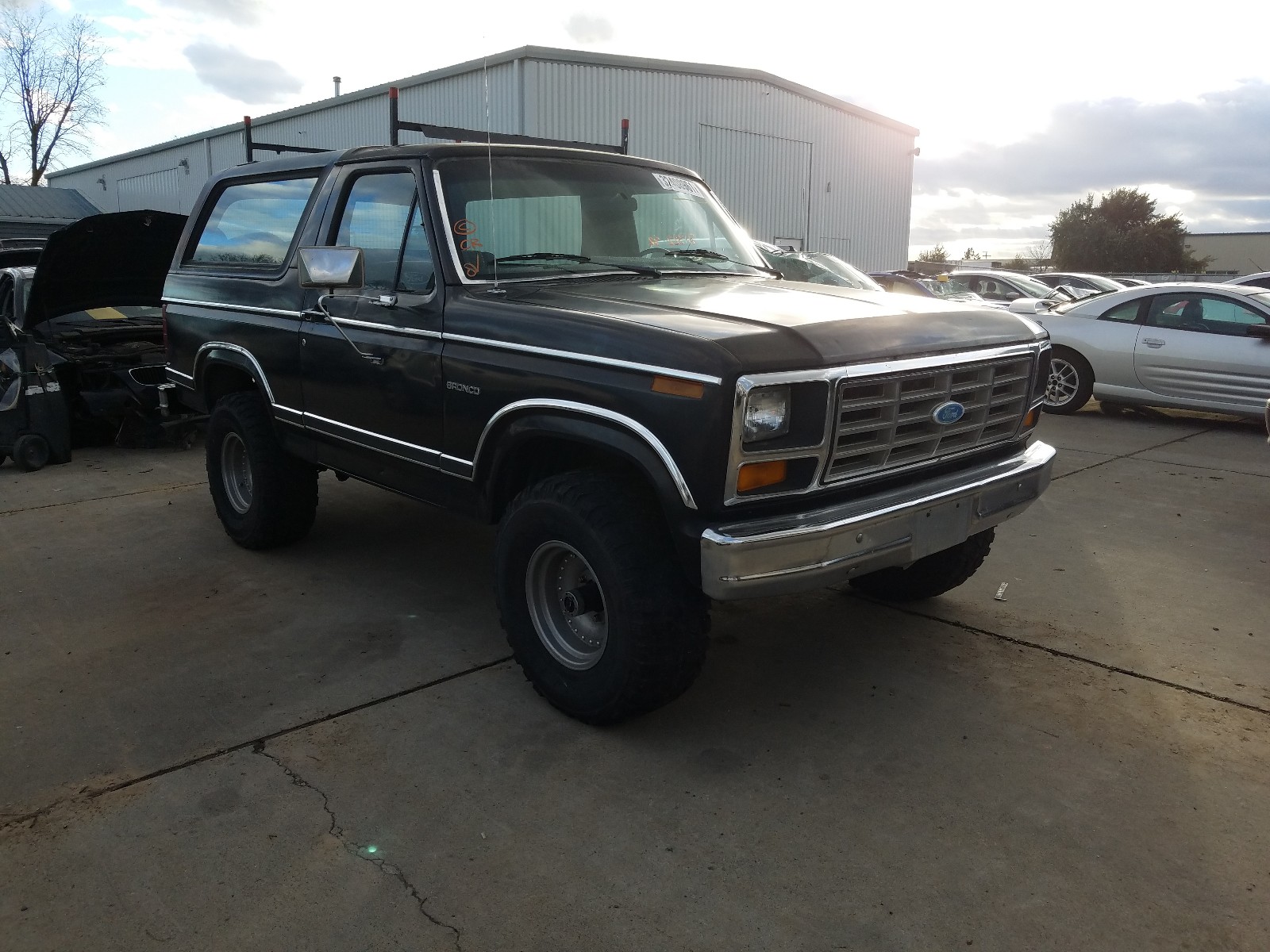 FORD BRONCO U10 1982 1fmeu15g6cla38157