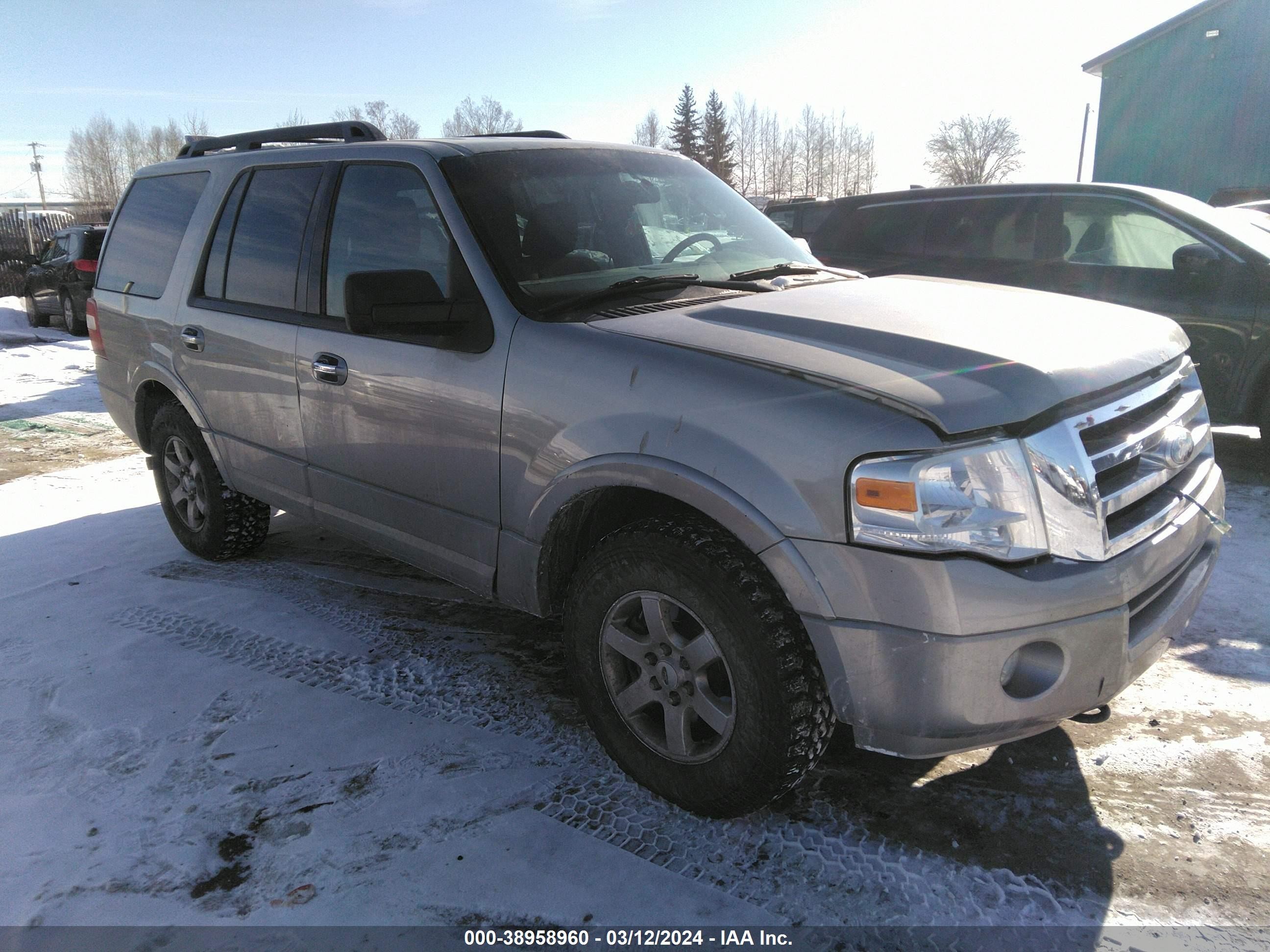 FORD EXPEDITION 2009 1fmfu16549la09363