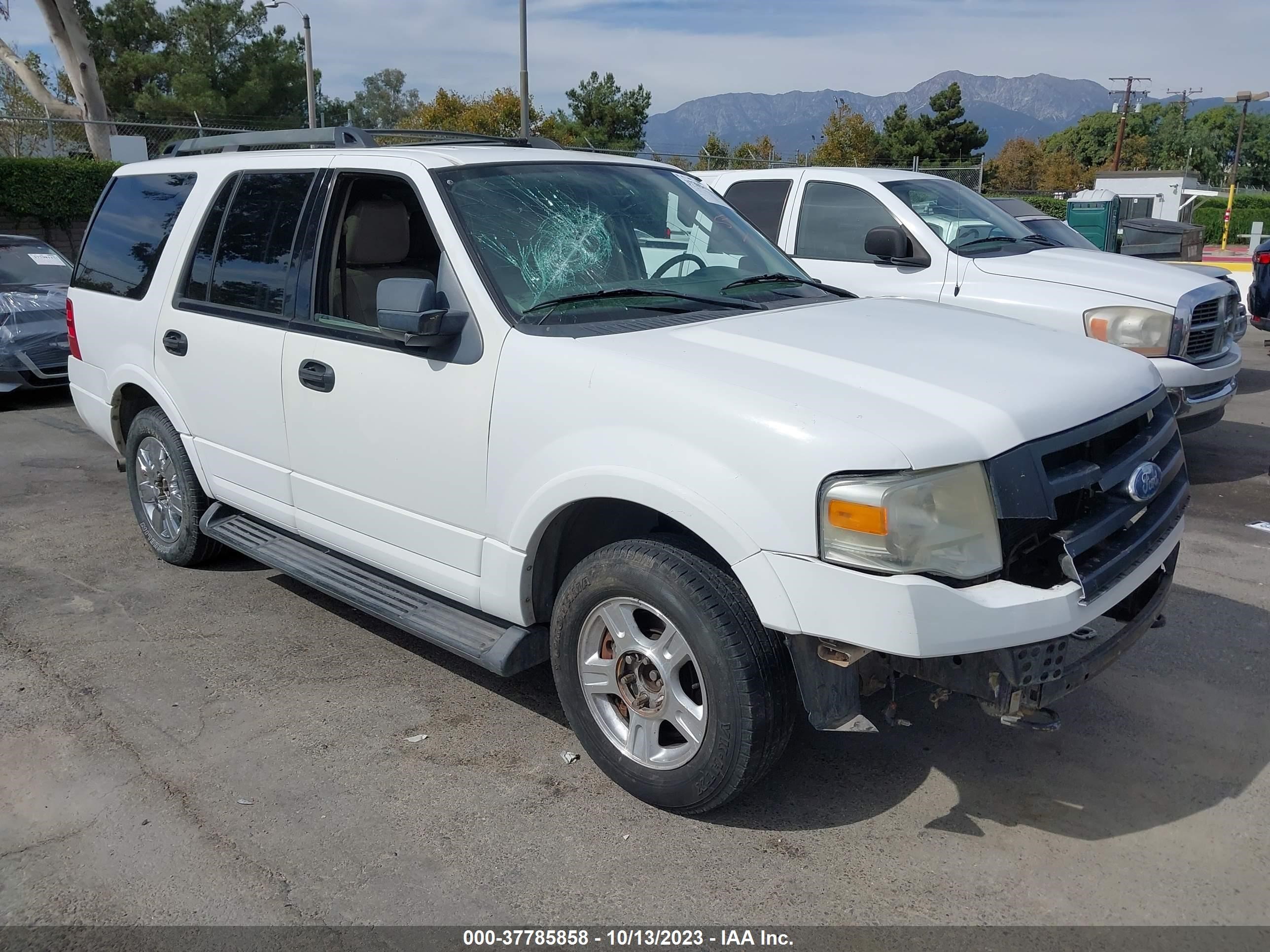 FORD EXPEDITION 2009 1fmfu16569eb04110