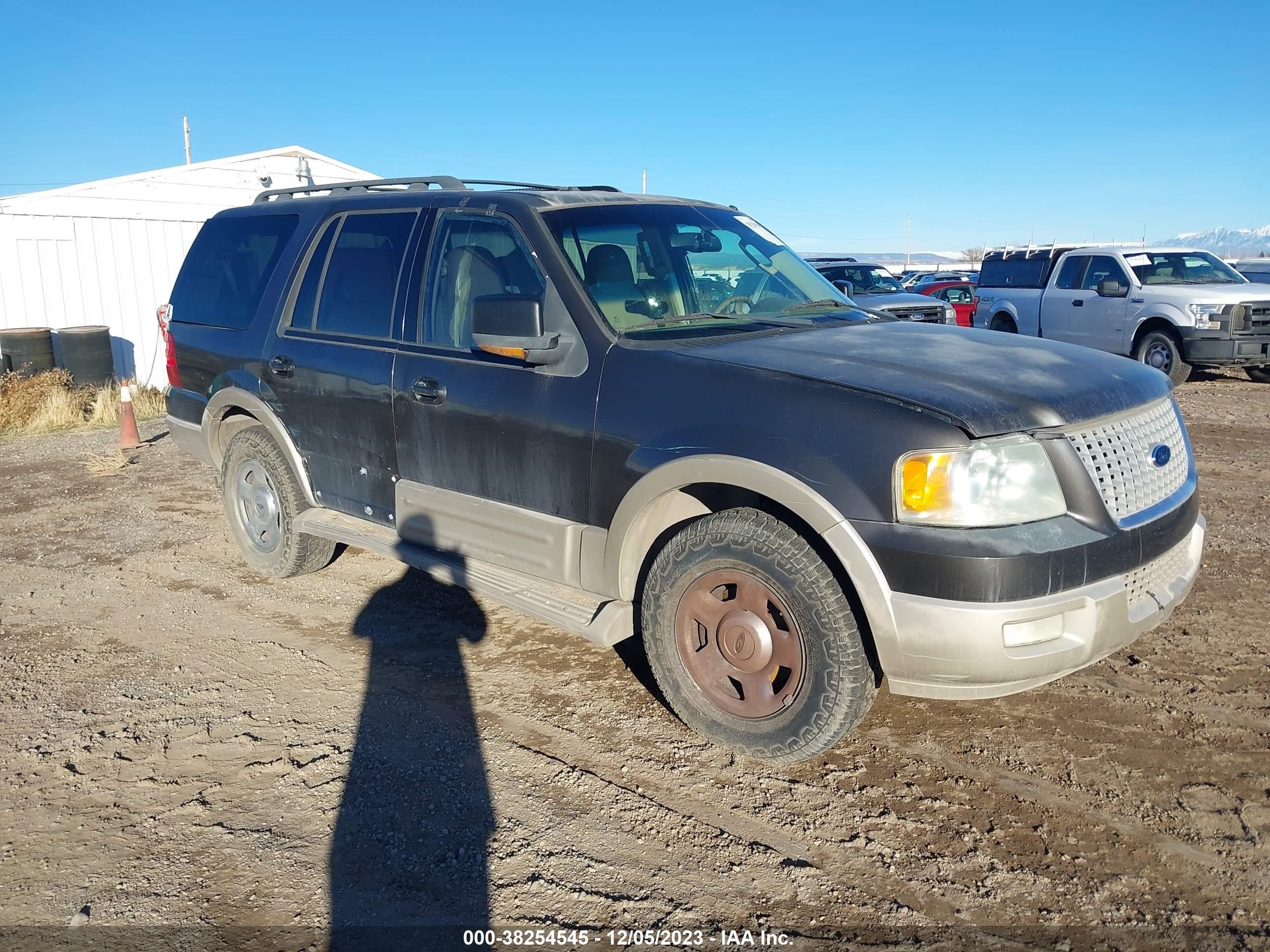 FORD EXPEDITION 2006 1fmfu17546la58170