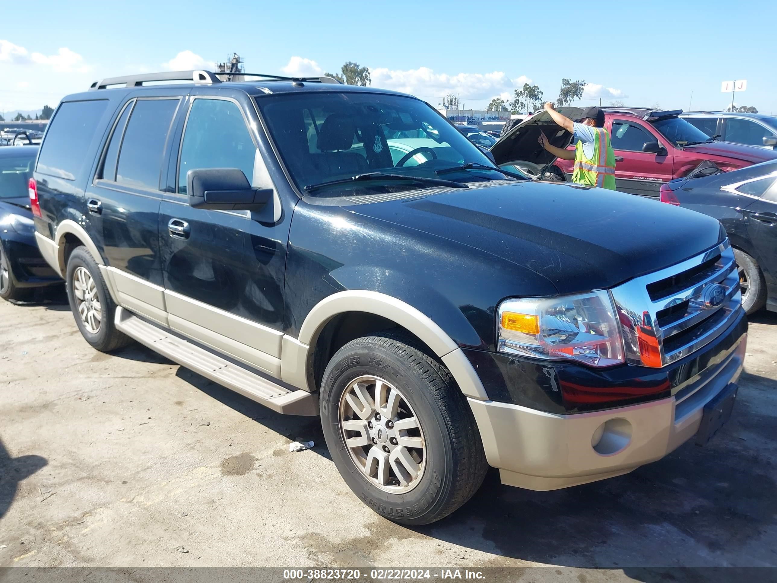 FORD EXPEDITION 2009 1fmfu17589eb04382