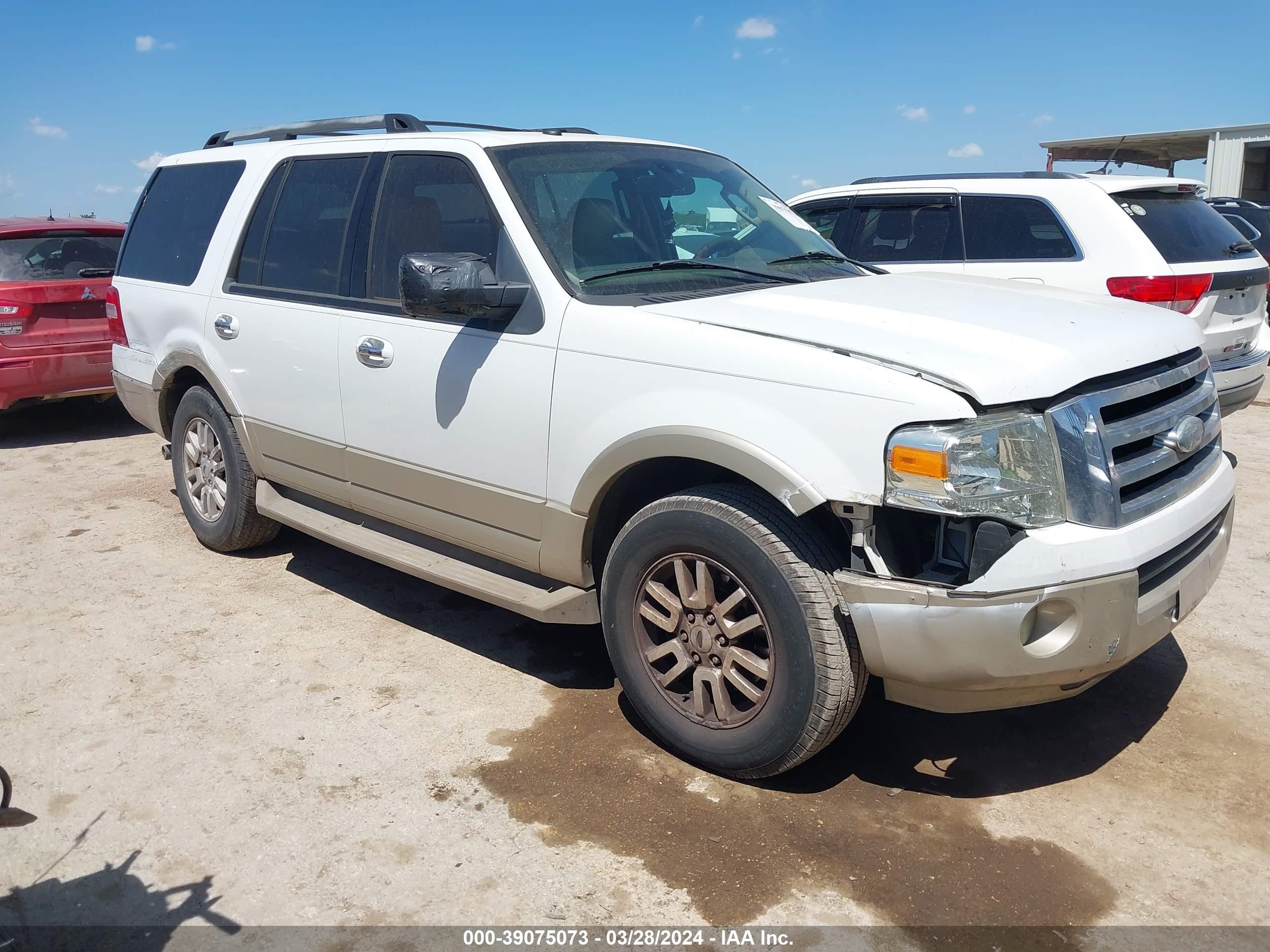 FORD EXPEDITION 2009 1fmfu175x9eb10913