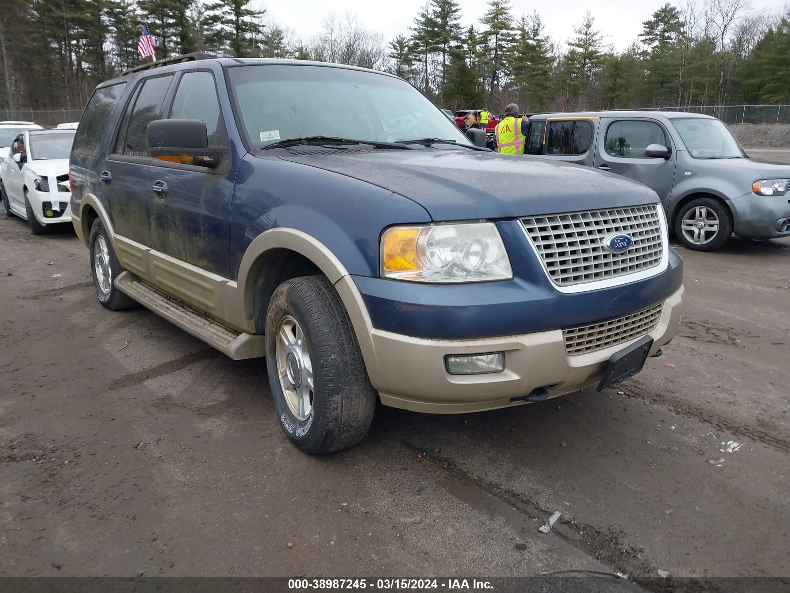 FORD EXPEDITION 2006 1fmfu185x6la29576