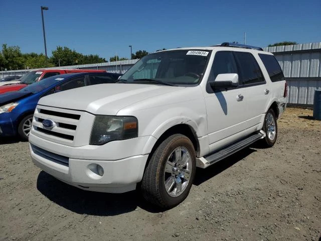 FORD EXPEDITION 2009 1fmfu19589la07515