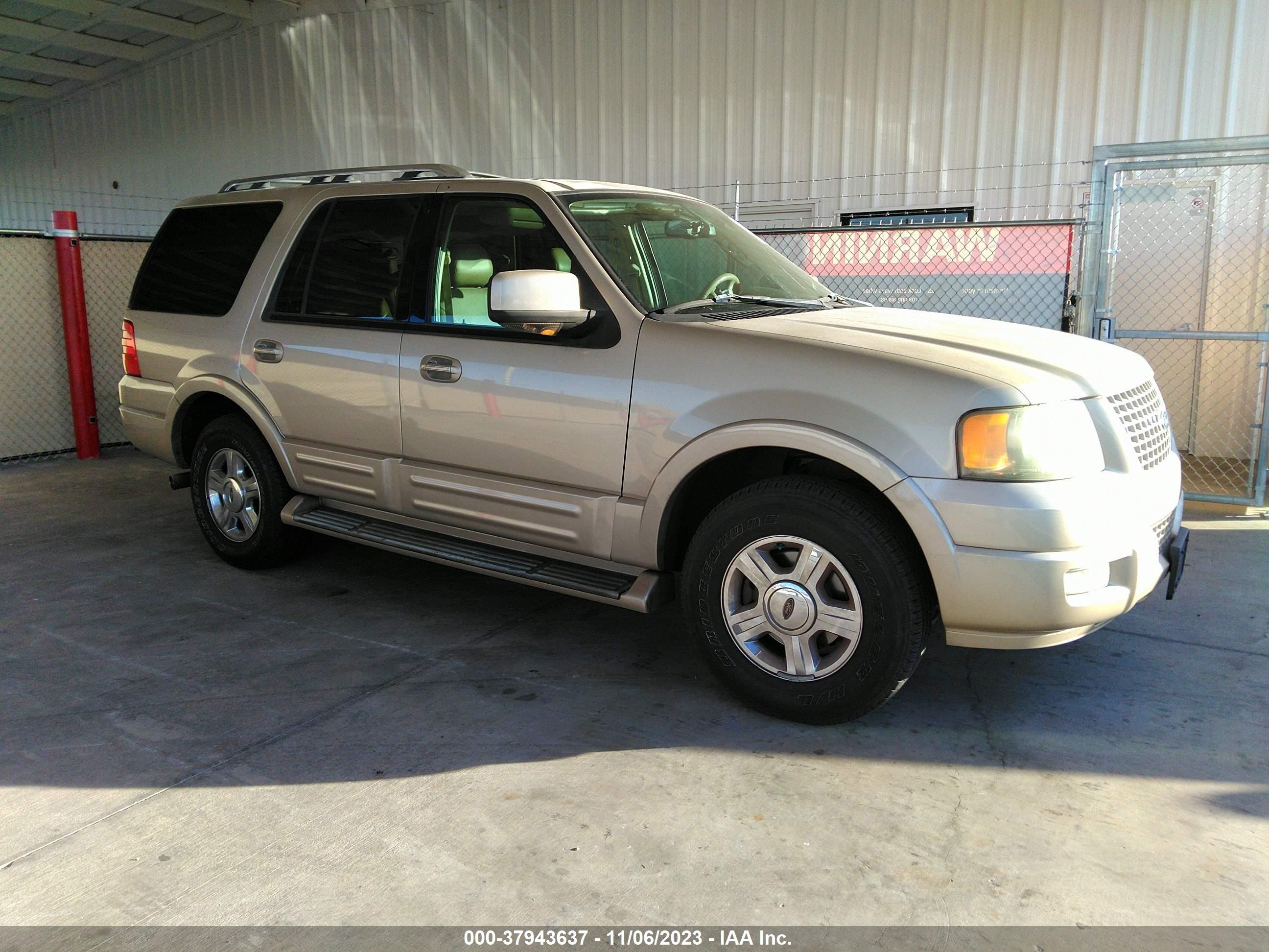 FORD EXPEDITION 2006 1fmfu195x6la88982