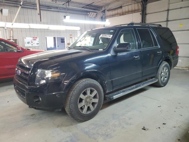 FORD EXPEDITION 2009 1fmfu20529eb04197