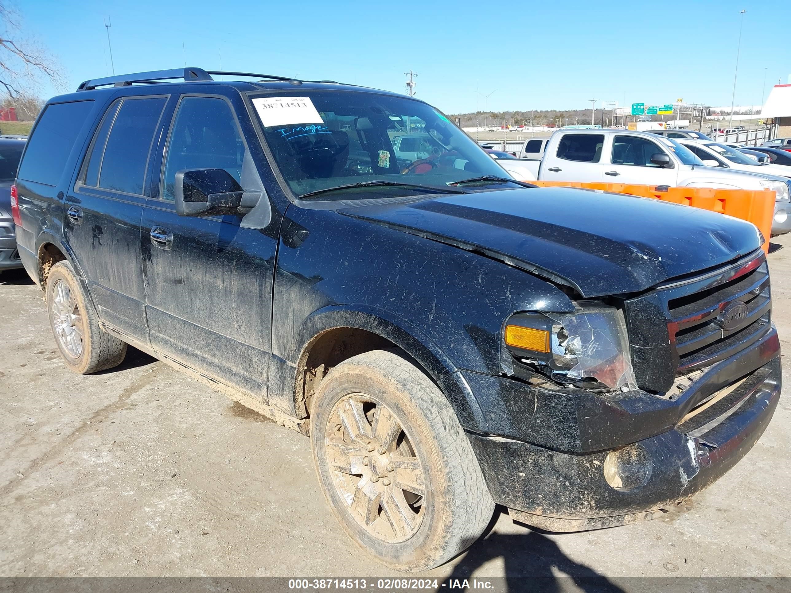 FORD EXPEDITION 2009 1fmfu20579eb00727