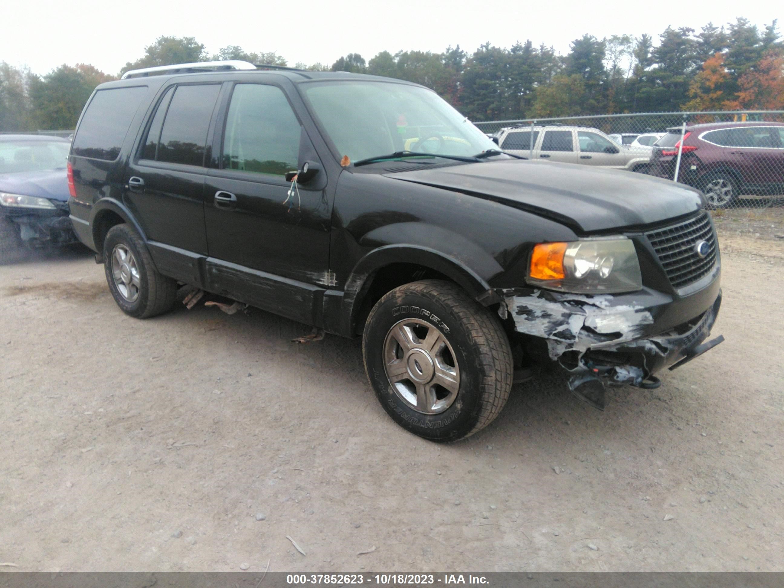 FORD EXPEDITION 2006 1fmfu205x6la45715